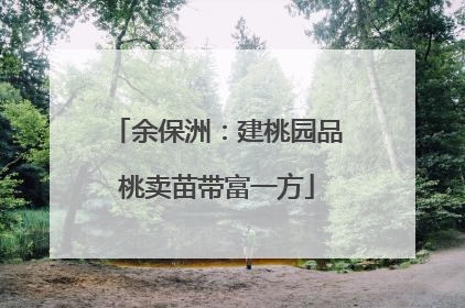 余保洲：建桃园品桃卖苗带富一方